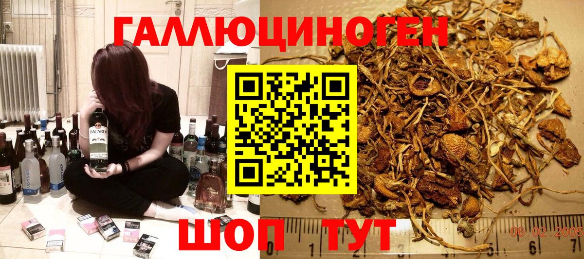 Галлюциногенные грибы Magic Shrooms  Вход с VPN  Горячий Ключ 