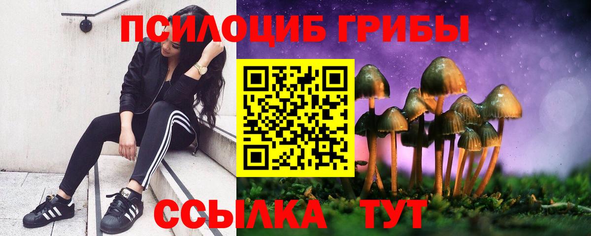 Галлюциногенные грибы Cubensis Горячий Ключ